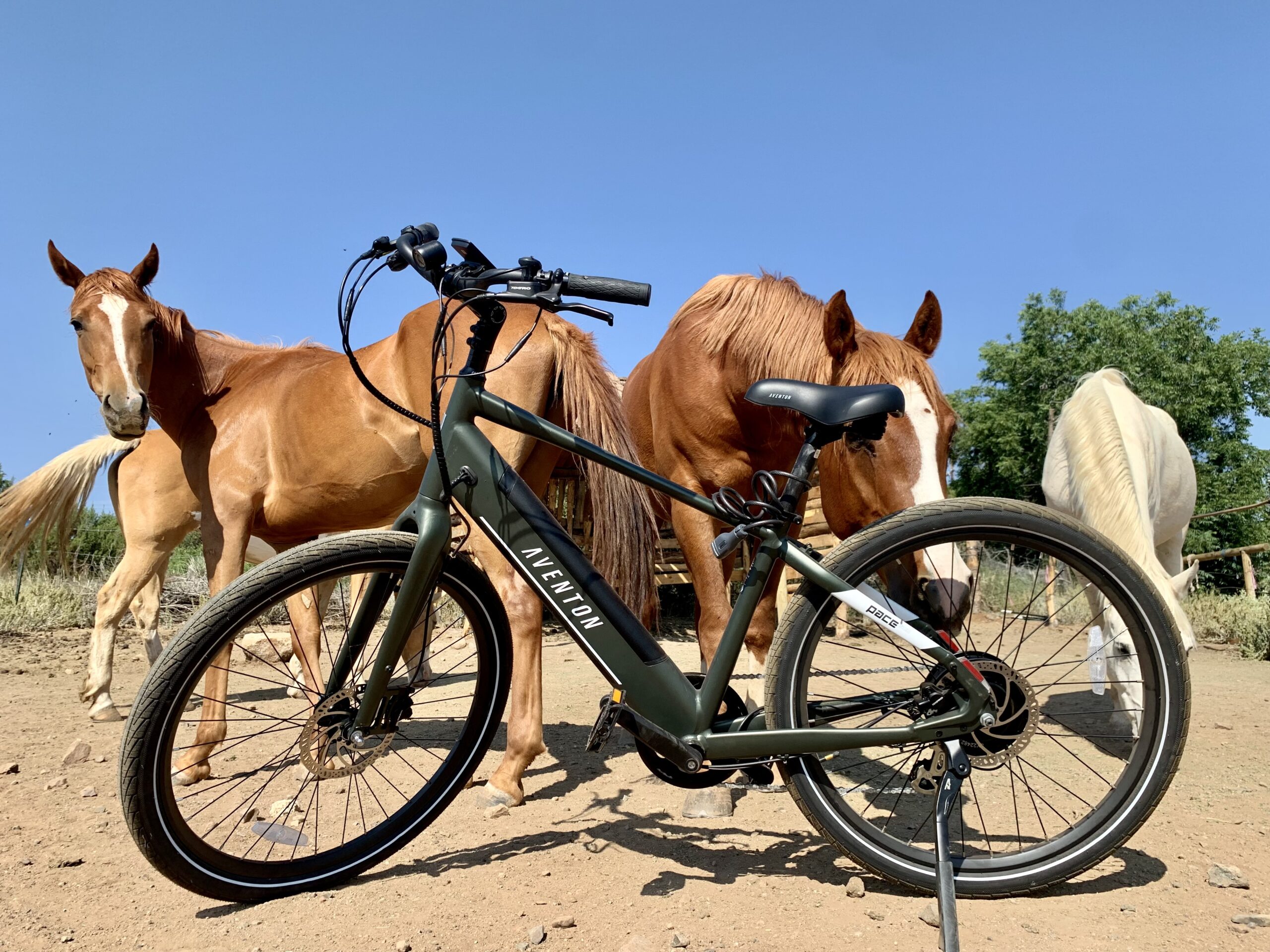 Aventon Pace 500.3 e-bike