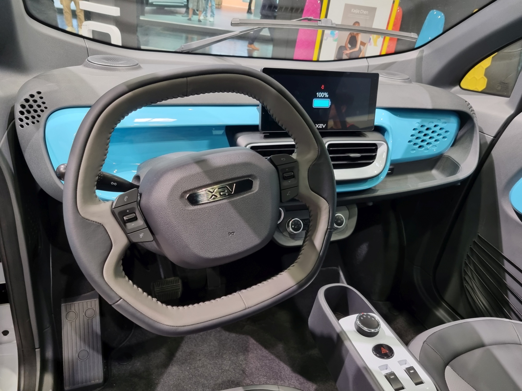 XEV driver's view of steering wheel and controls