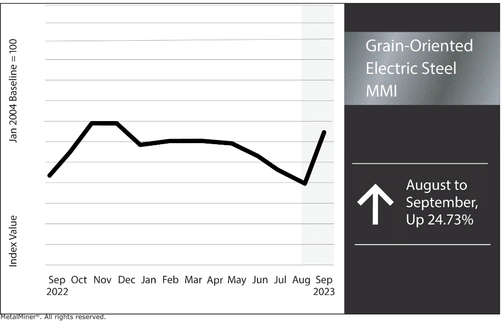 grain-oriented electrical steel MMI